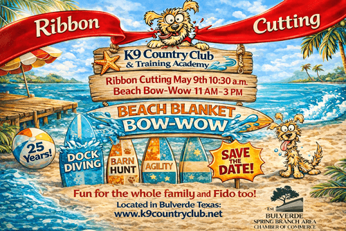 K9 Country Club marks 25 years with dock diving, agility and barn hunt