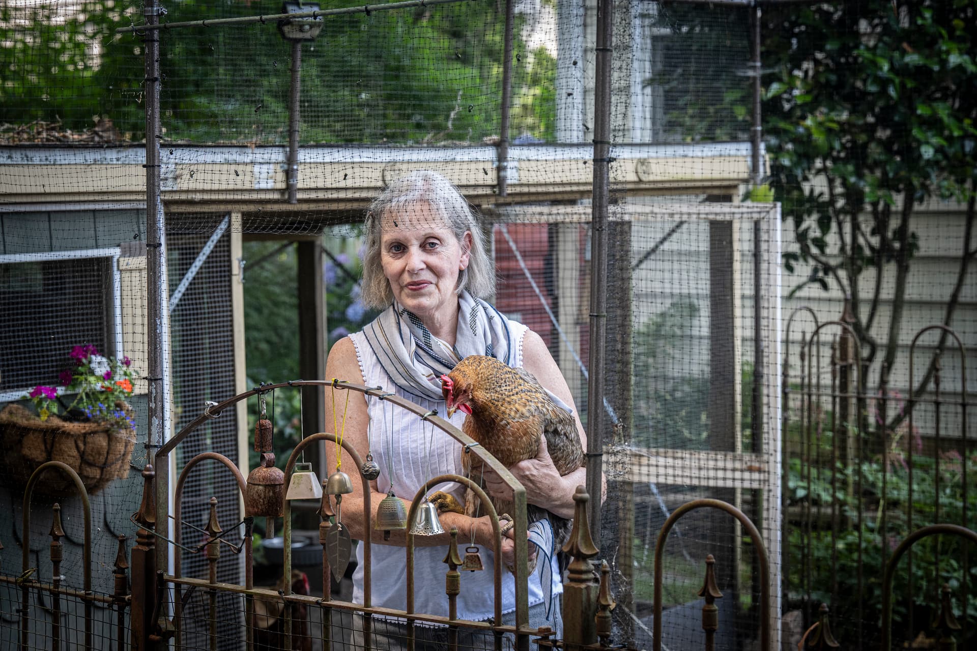 Collingswood backyard chicken supporters think legalization is finally within reach