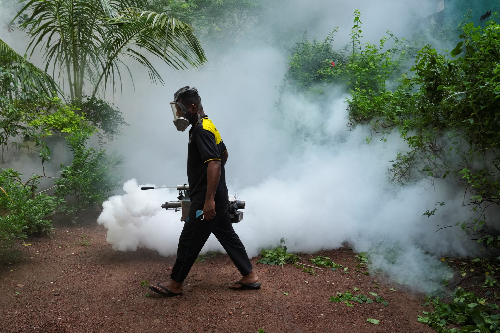 Sri Lanka's dengue outbreak surges past 44,000 cases, hospitals strain