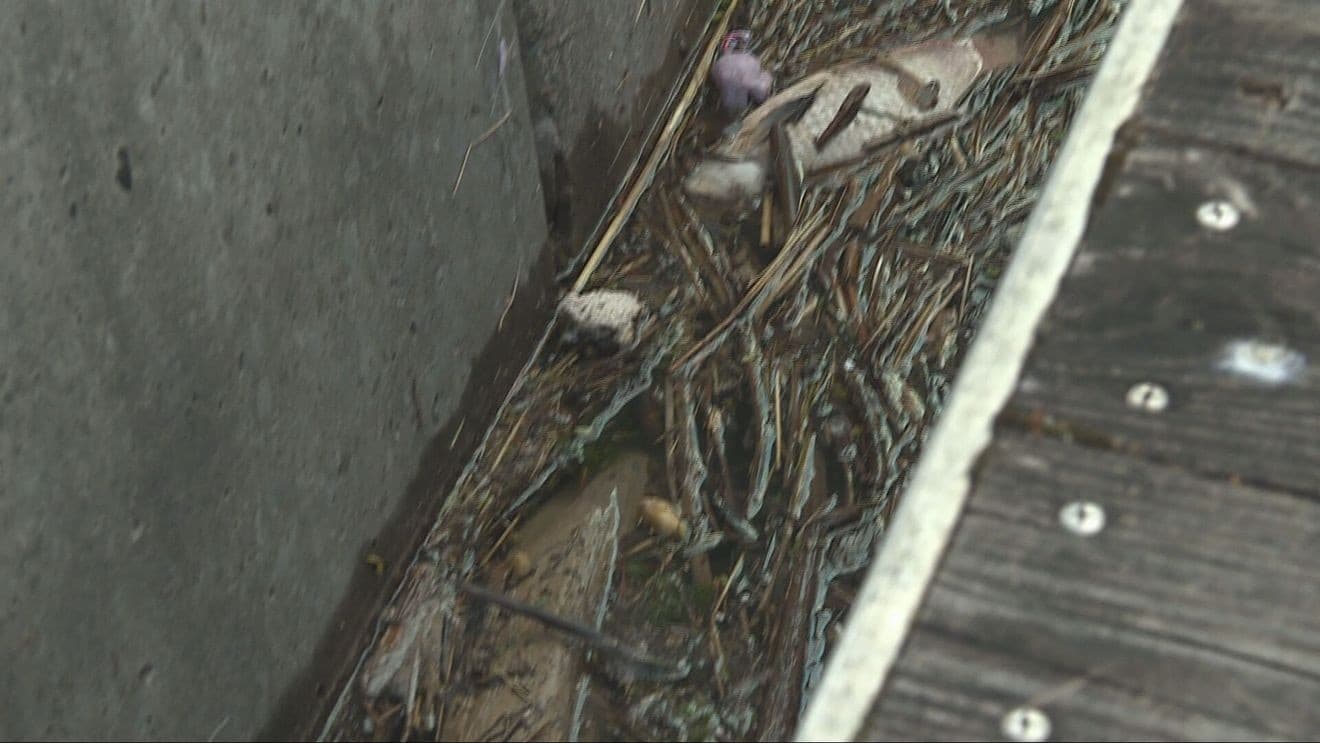 Inner Harbor trash sparks dispute over who must clean Onondaga Creek