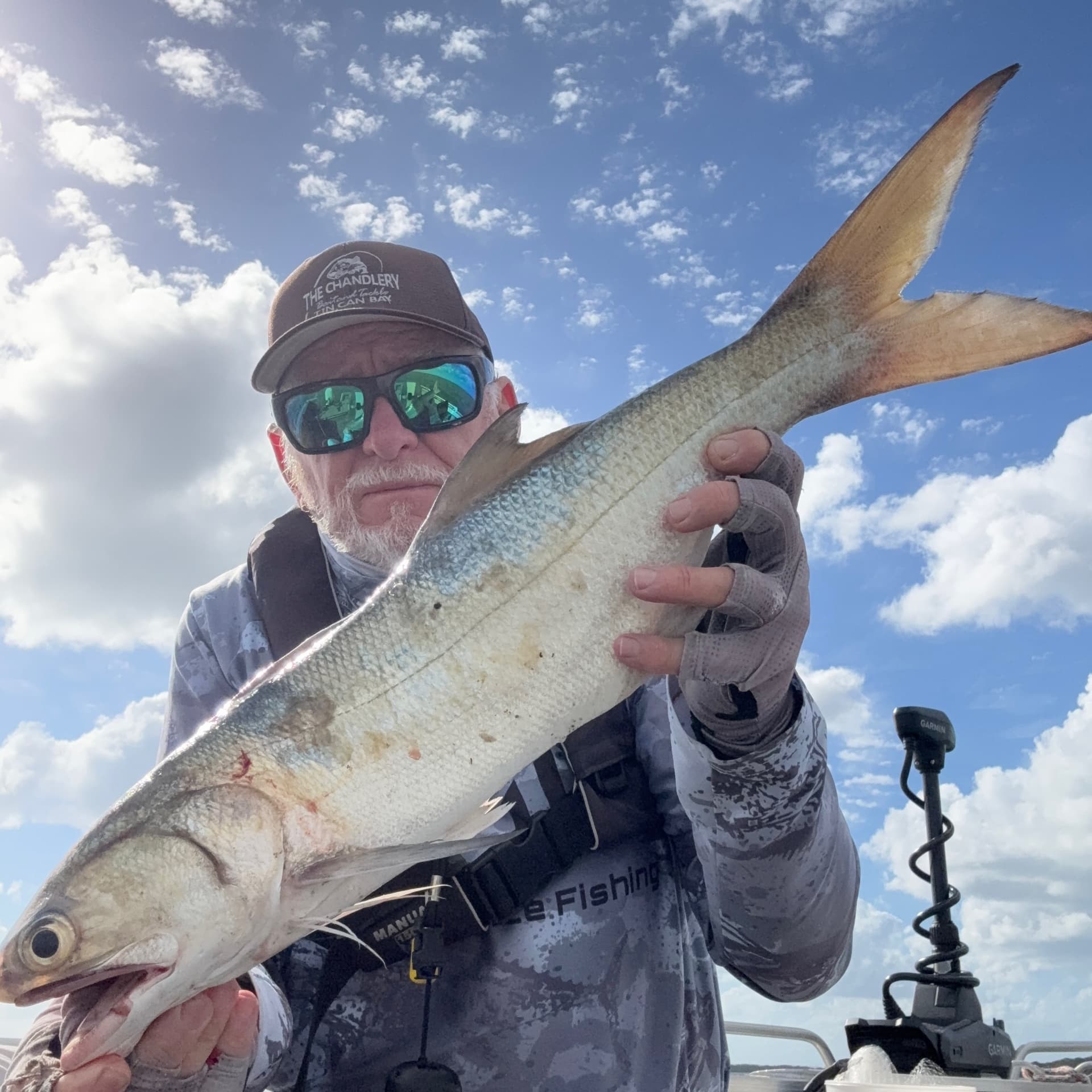 Hervey Bay Offshore Tuna Action Picks Up for Weather-Savvy Anglers