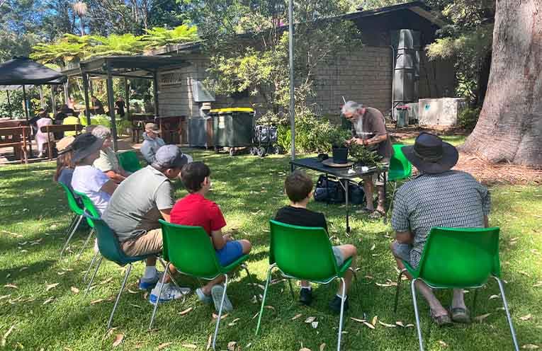 Coffs Harbour bonsai show draws crowds, Chinese elm wins by two votes