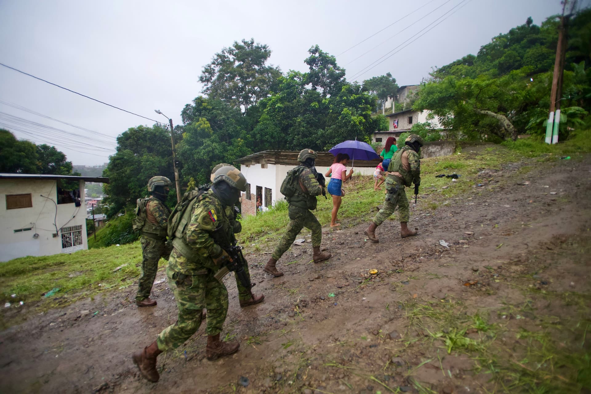 US-Ecuador Strike Touted as Drug Camp Destruction Hit Cattle Farm, Probe Finds
