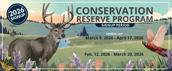 Phillips County USDA Bulletin Lists Farmer Bridge Payments, CRP and NAP Deadlines