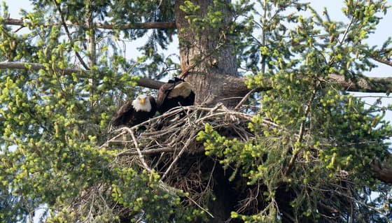 Bacon newsletter spotlights county workload, shoreline and drainage concerns