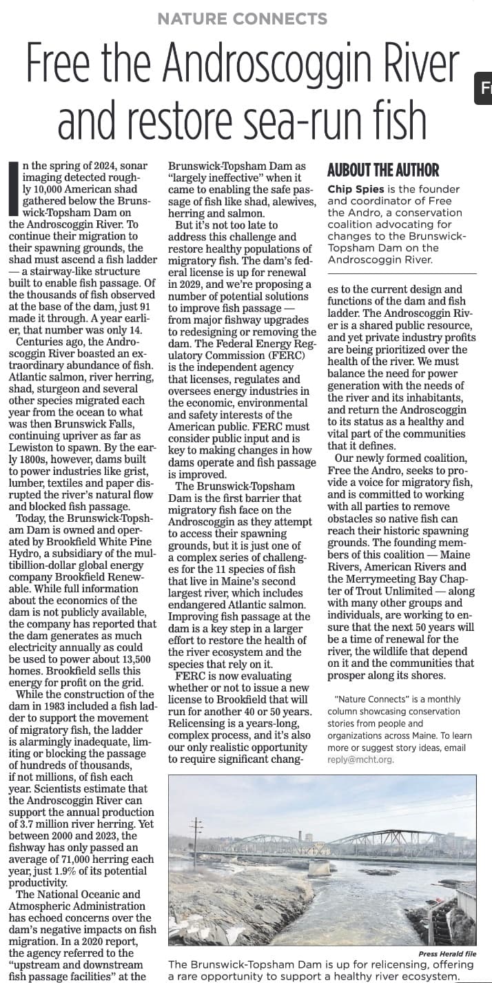 Free the Andro urges better fish passage at Brunswick-Topsham dam before relicensing