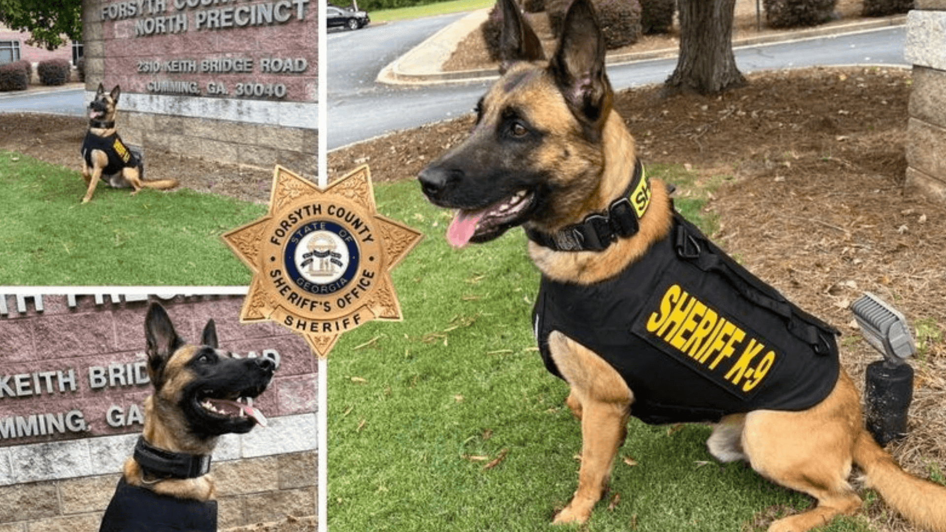 Forsyth County K-9 Guinness to get protective vest