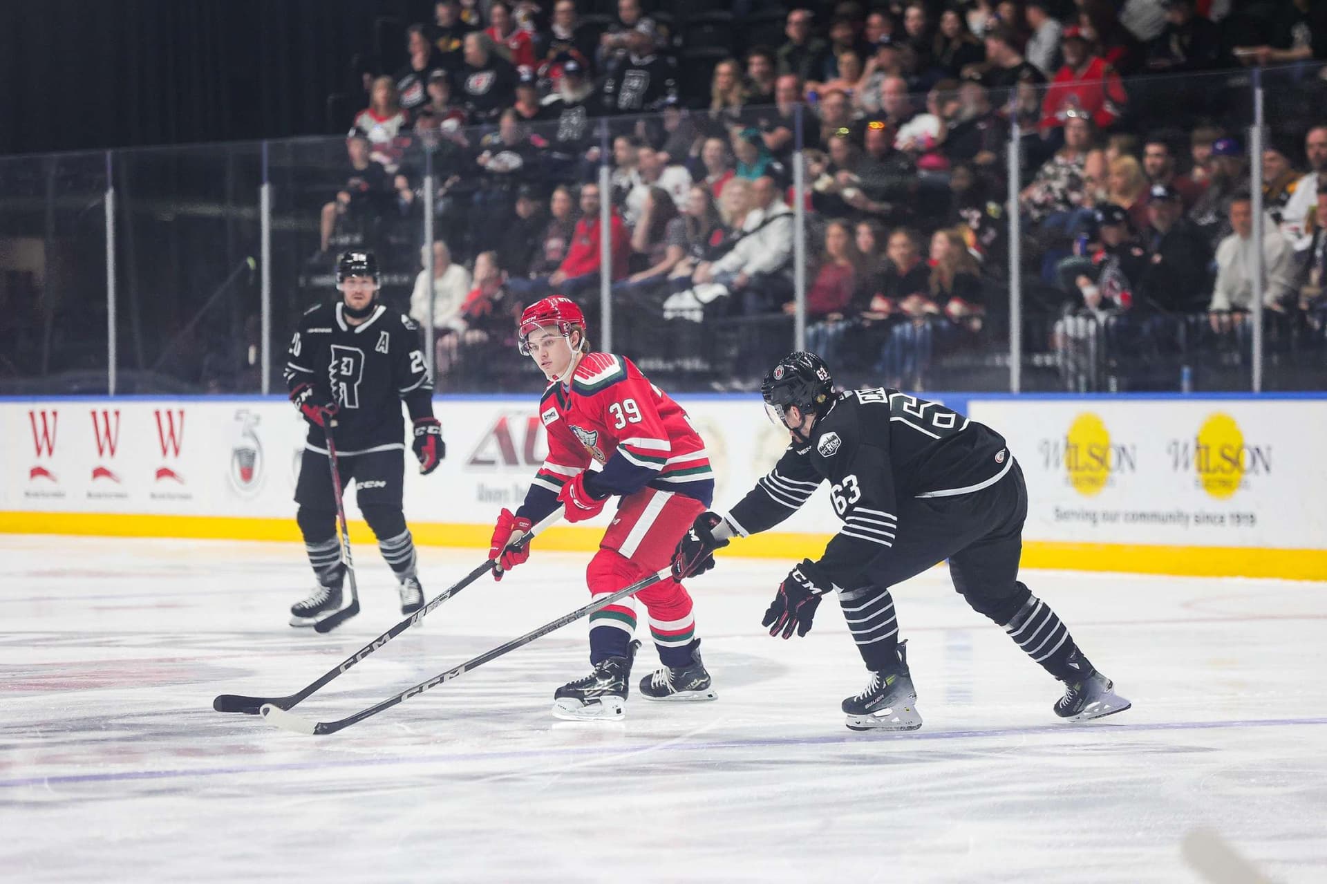 Red Wings Send Sandin-Pellikka to AHL's Grand Rapids Griffins