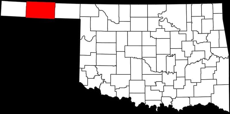 Texas County records guide helps family historians find local archives