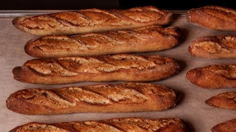 Basque Baguette Wins Britain’s Best Loaf in Record 200-Entry Contest