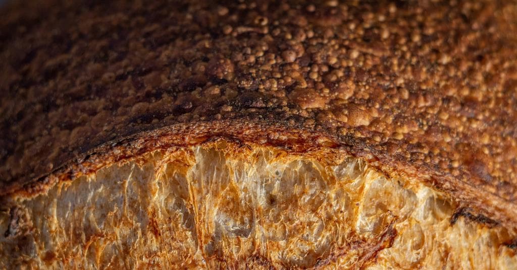 Flour choice steers sourdough starter microbes and flavor profiles