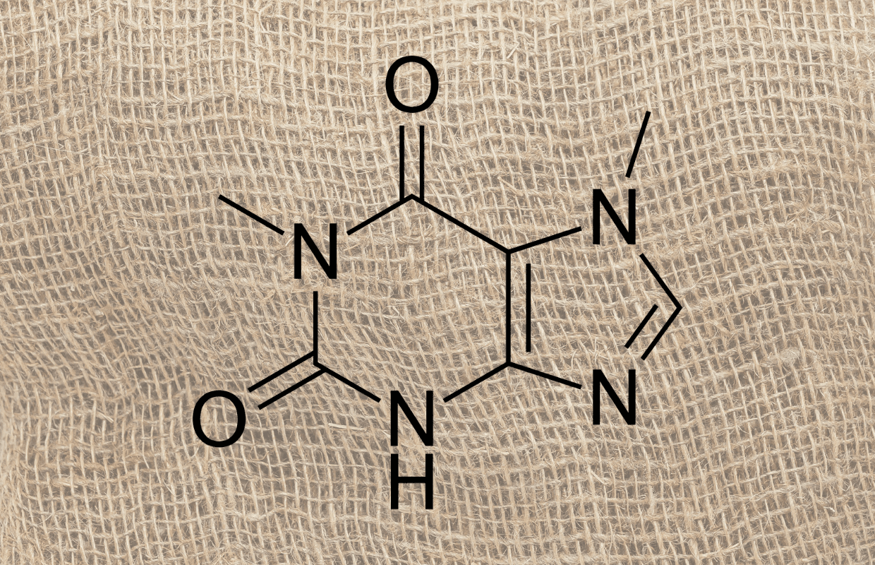 Paraxanthine emerges as a possible caffeine alternative in coffee drinks
