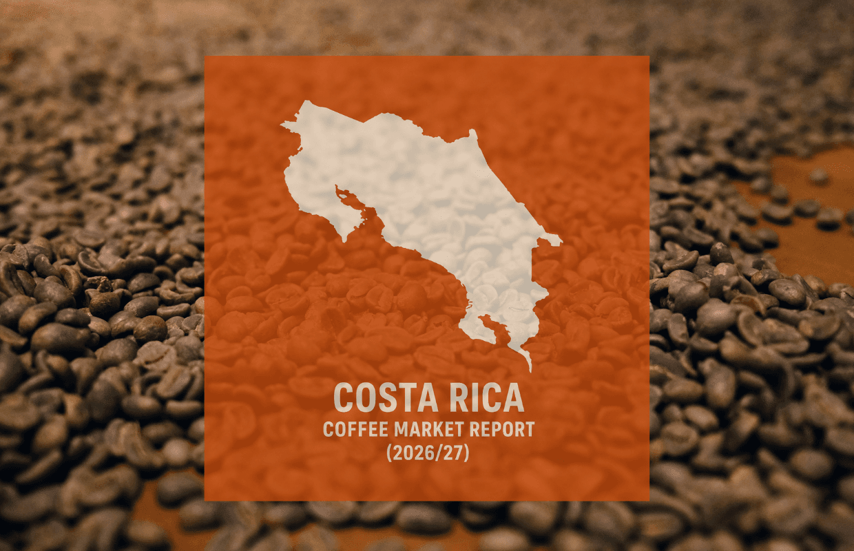 Costa Rica coffee output rises, but growers face shrinking margins