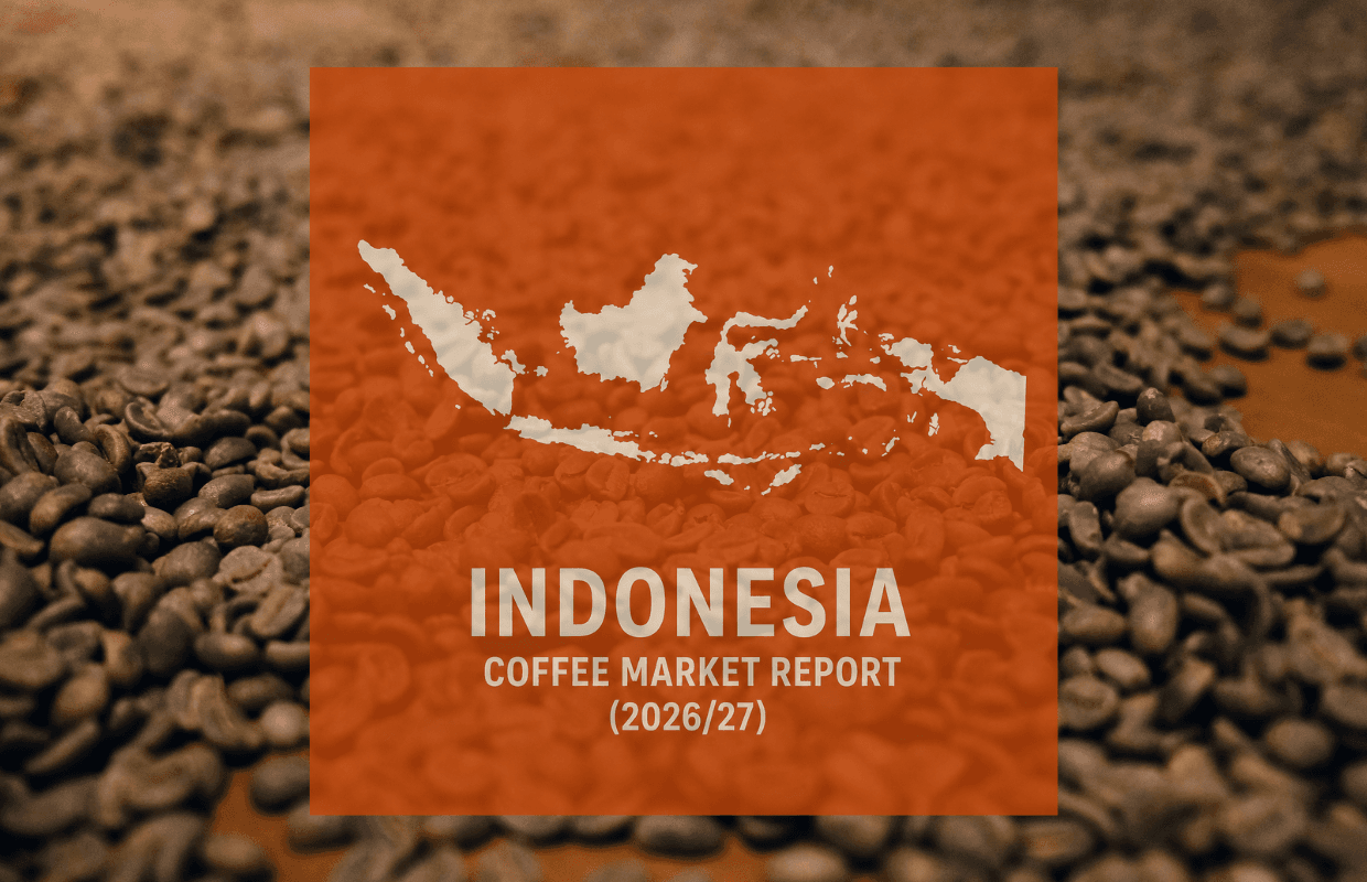 Indonesia coffee output seen falling 8% as rains hit robusta crops
