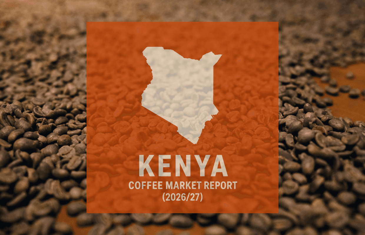 Kenya coffee output forecast to rise nearly 12% as farms recover