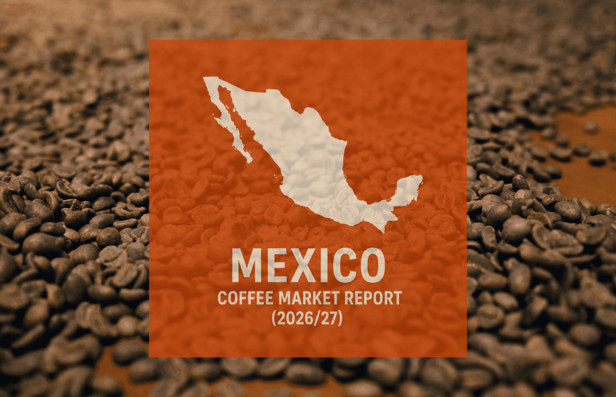 Mexico coffee output seen rising as robusta gains ground