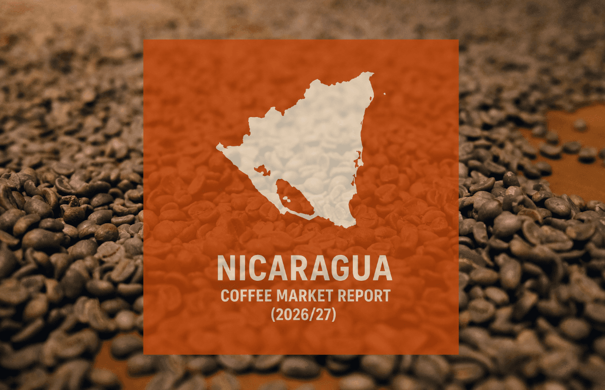 Nicaragua coffee output seen falling as El Niño and costs rise