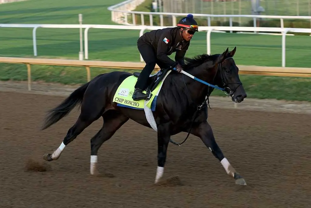 Chip Honcho reunites with Jose Ortiz as Preakness opens wide-open race