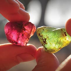 GIA Education Guides Personalized Jewelry Buyers on Grading and Certificates