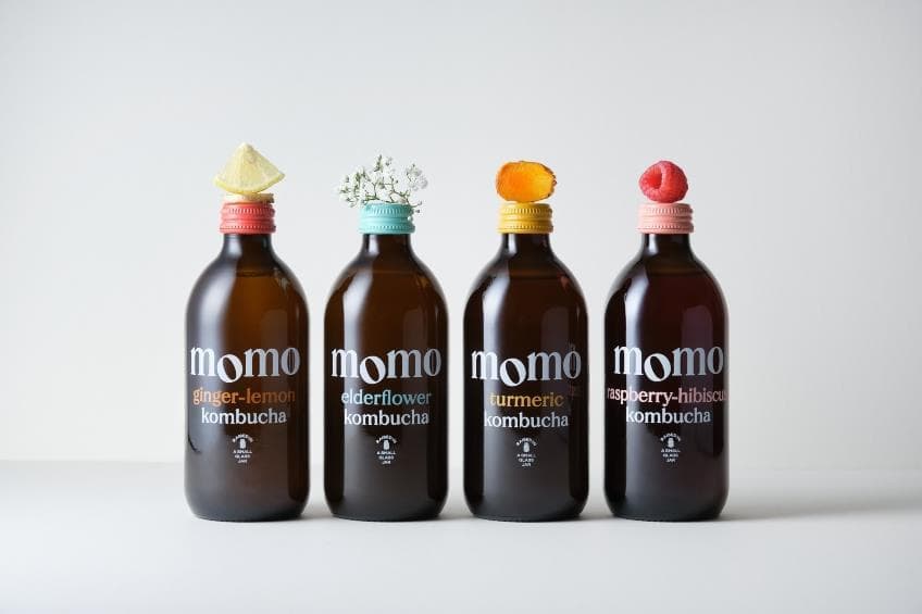 Momo Kombucha scales up with proprietary fermentation system and new brewery