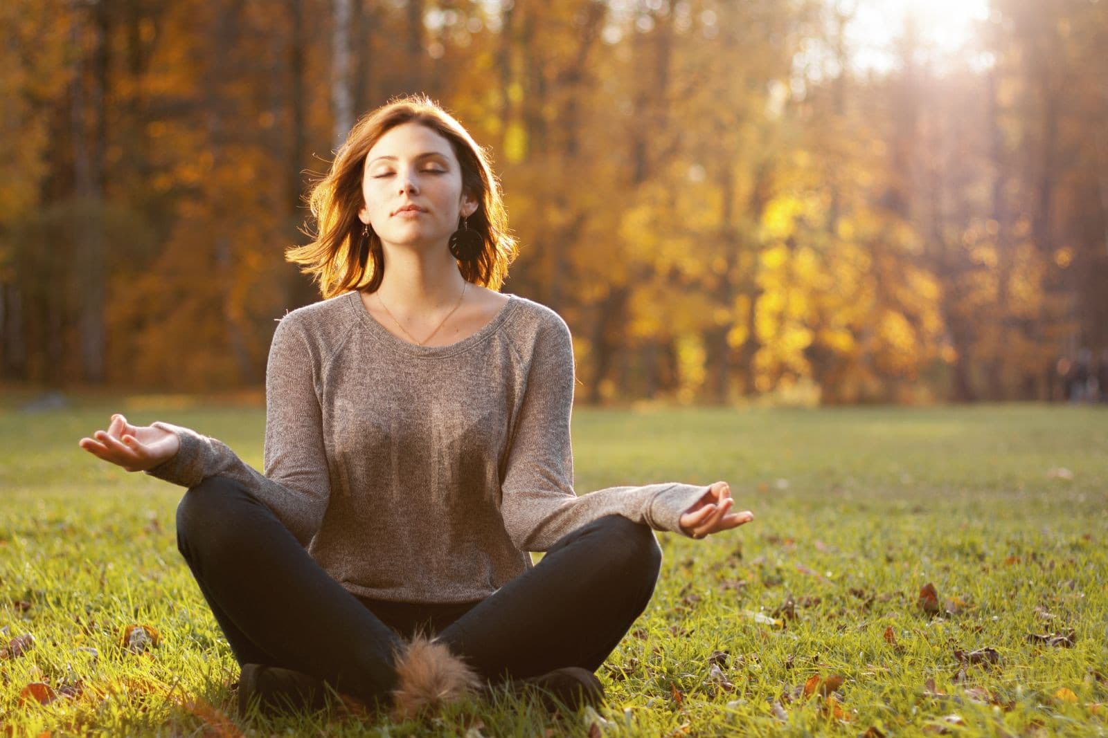 Harvard Health Guide: 10-15-Minute Mindfulness Practice Builds Benefits