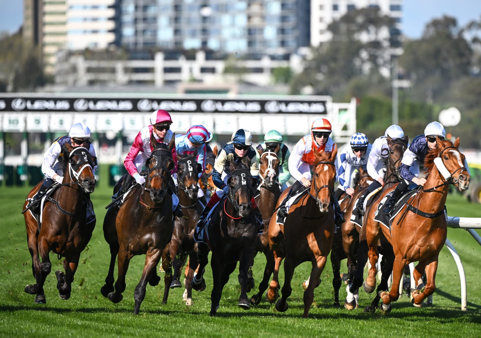 ASIC review puts racehorse syndicators under fairness spotlight