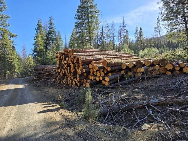 Wallowa-Whitman forest fully staffed for wildfire season, supervisor says