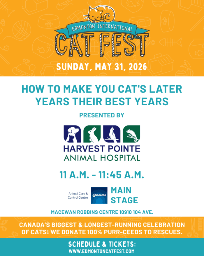 Edmonton cat festival adds cat-shaped bath bombs to monthlong lineup