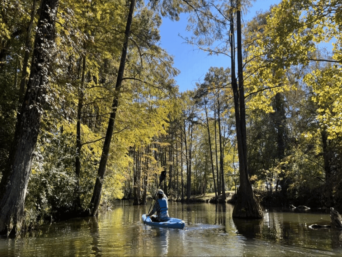 Major blockage shuts down lower Autauga Creek Canoe Trail section