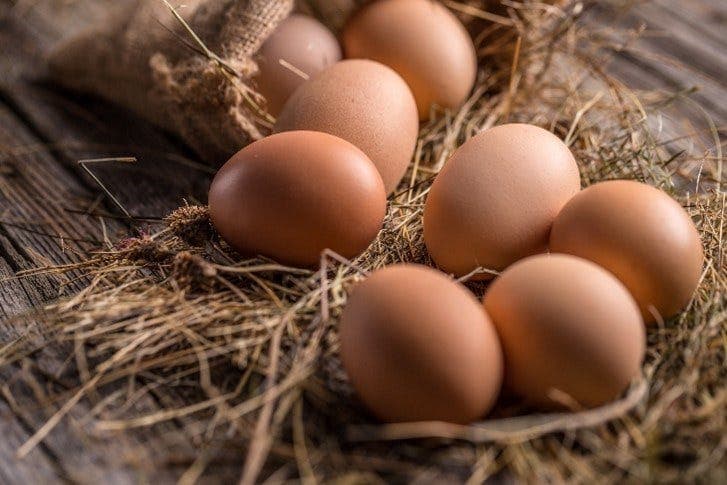 How to handle backyard eggs safely, according to Penn State and USDA
