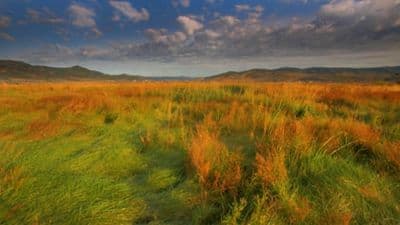 Swaner Preserve protects 1,200 acres beside Kimball Junction growth