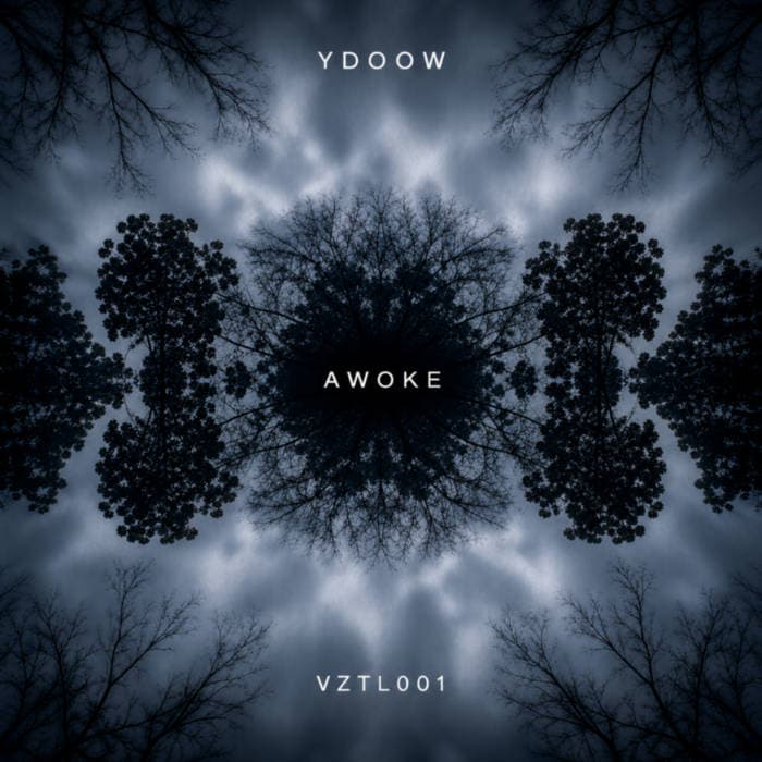 VEZTAL launches new phase with hypnotic five-track AWOKE release