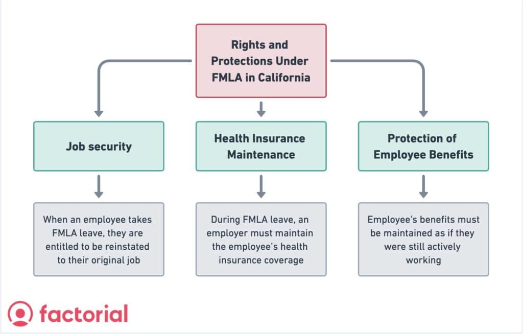 Trader Joe's workers need to know FMLA leave protections