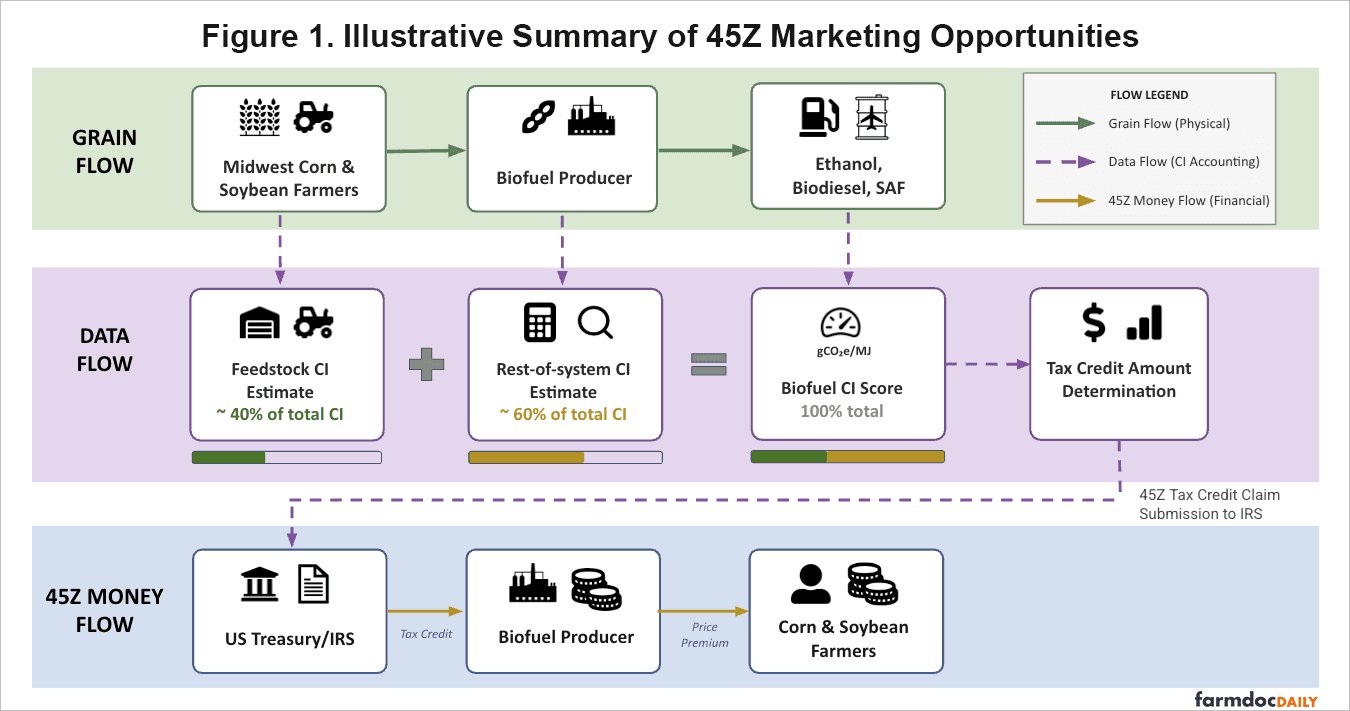 Section 45Z could reward lower-carbon corn and soybeans