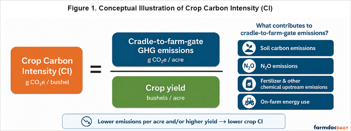 US finalizes 45Z framework for low-carbon crop biofuel feedstocks