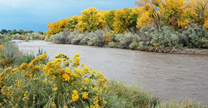 Day Trips From Farmington, Local Guide to Nearby Ruins and Views