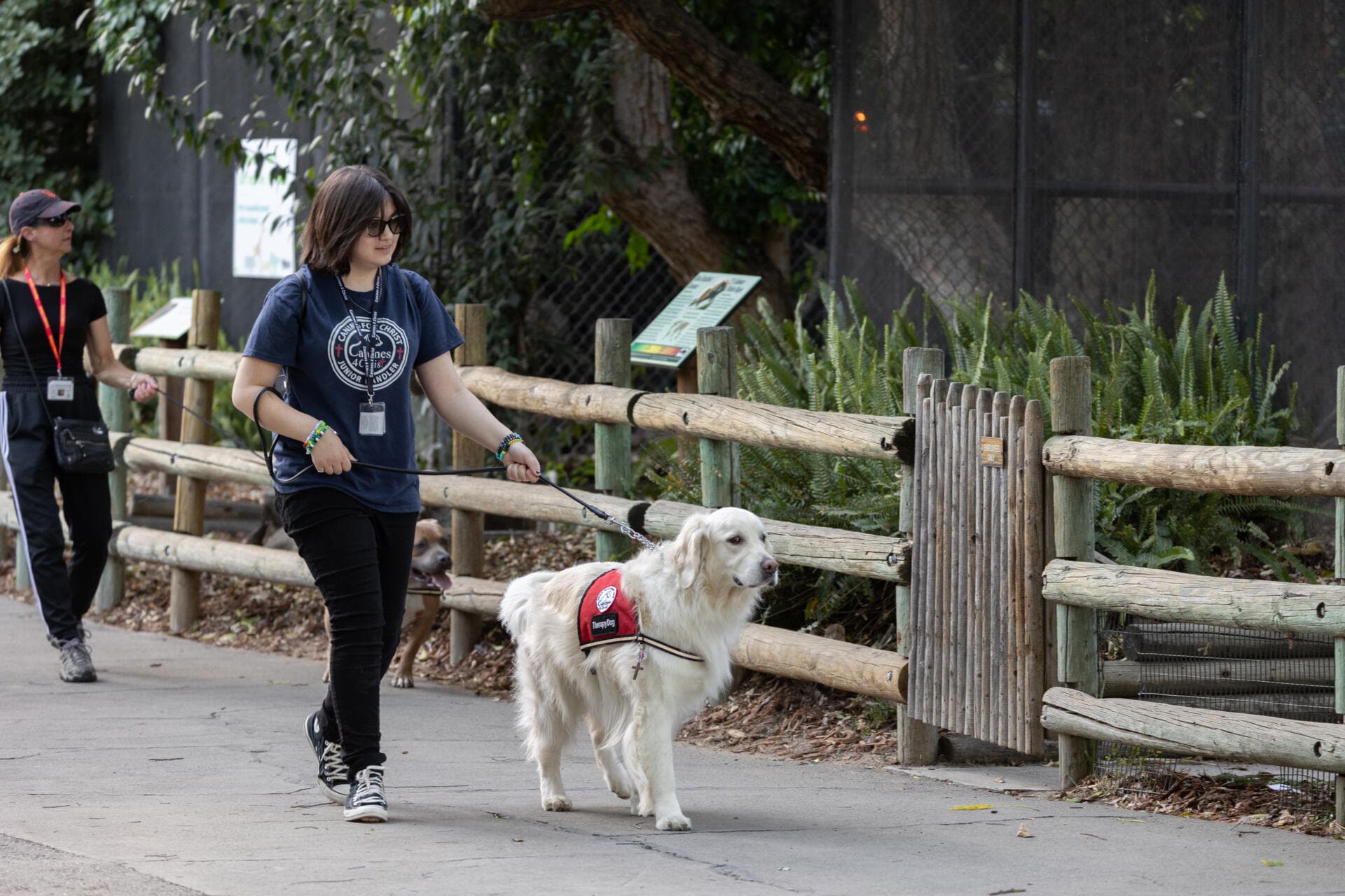 Fresno Chaffee Zoo ends Roar and Pour season with dogs, drinks, mini golf