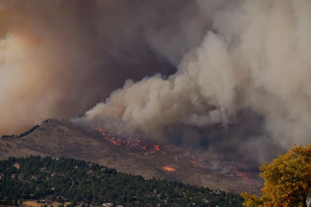 Windward expands into California with ZestyAI wildfire underwriting tool