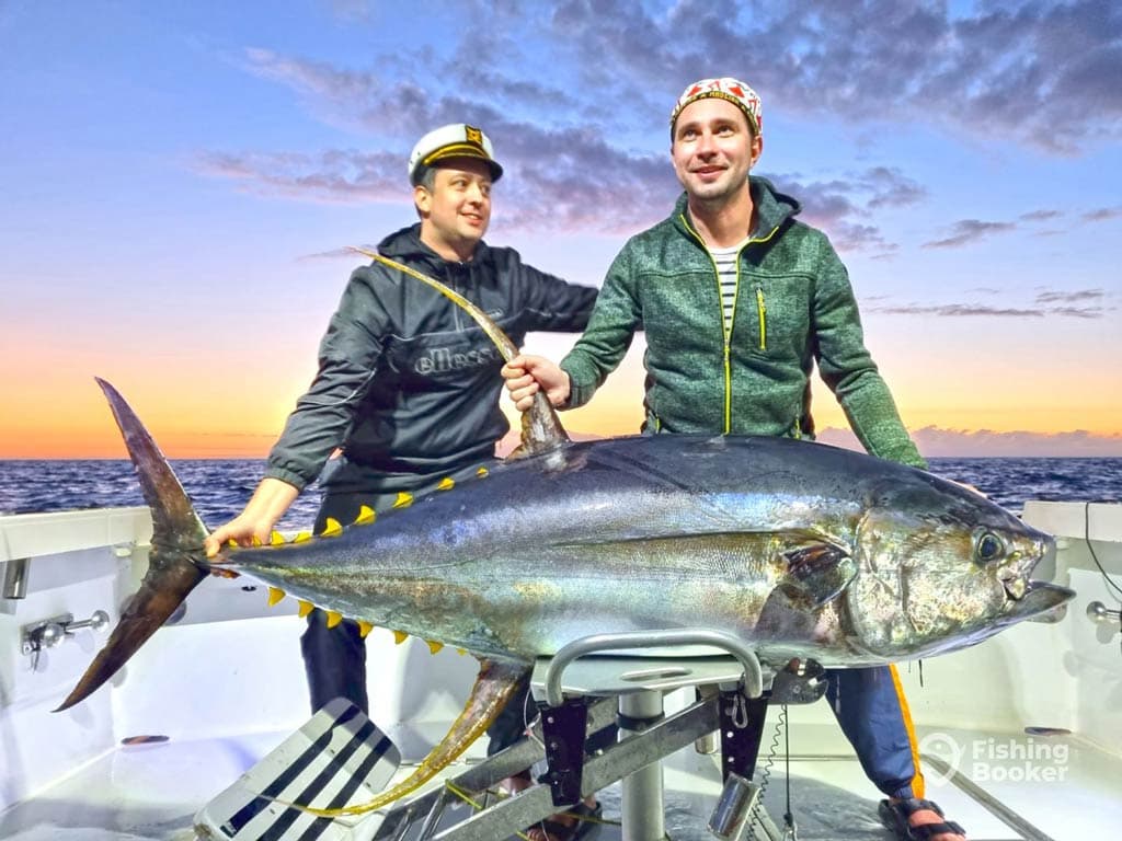 Tuna fishing seasons vary by region, guide maps best windows