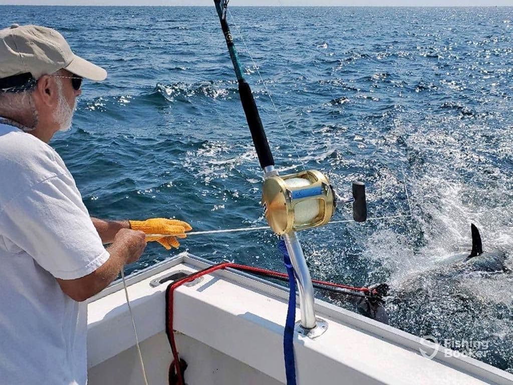 Match gear to tuna species - a practical tackle guide for anglers