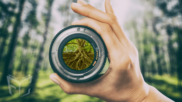 Sharon Forks Library hosts community photo exhibit on personal roots