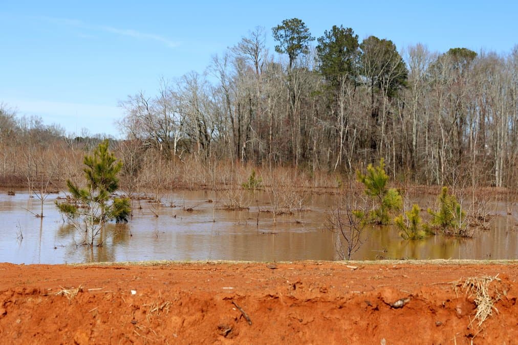 Forsyth County under flood watch as Memorial Day rain returns