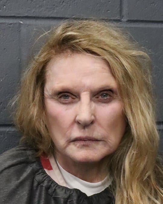 Woman Arrested After Alleged Shooting in West Forsyth County