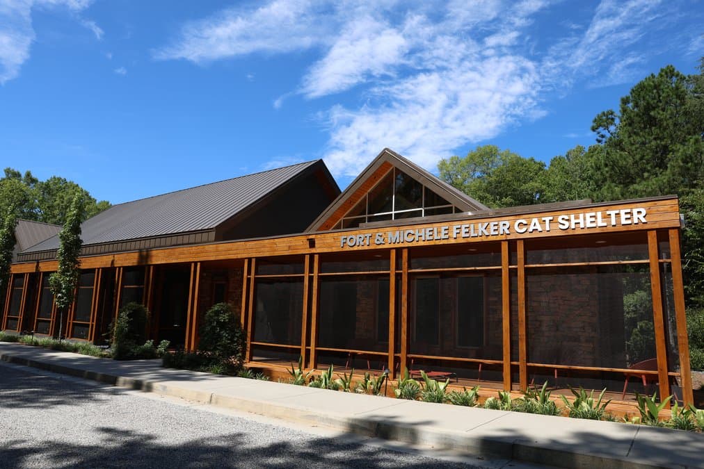 Forsyth County Charities Spotlight, How to Give Locally This Season