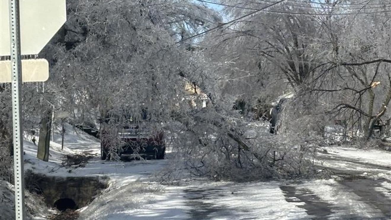 Nashville Winter Storm Timeline Captures How Local Businesses, Workers Responded