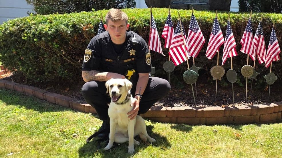 Union County sheriff’s office adds drug-sniffing K-9 River