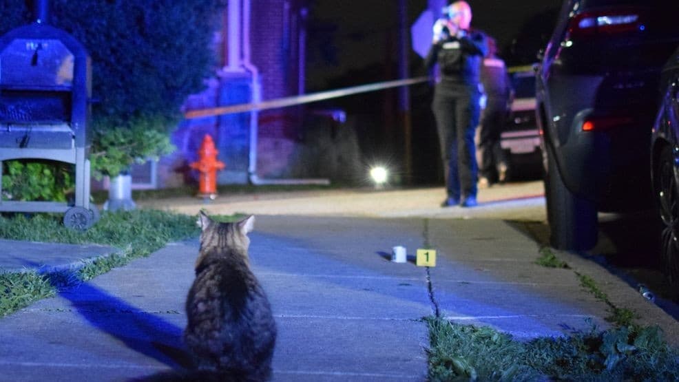 Officer-involved shooting in Belair-Edison Tuesday evening kills 37-year-old man