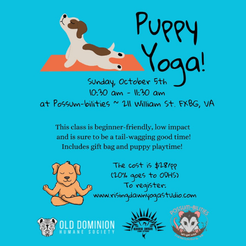 Fredericksburg puppy yoga event draws more than 80 interested attendees