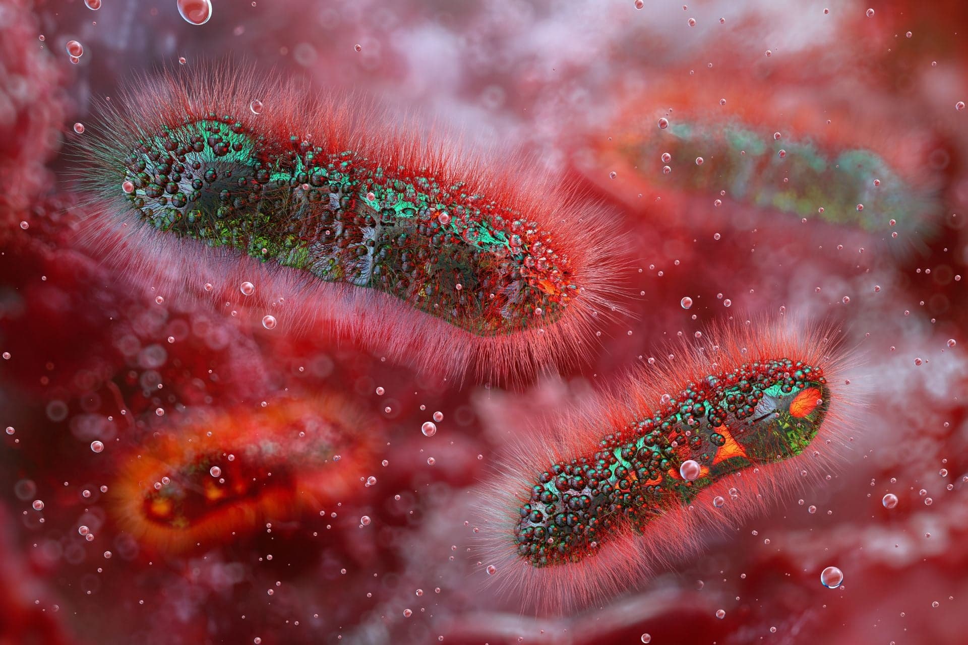 CDC warns of rising drug-resistant Shigella, no oral treatment available