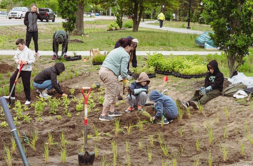 Volunteers plant pollinator garden at Great Patchogue Lake to boost habitat, water quality